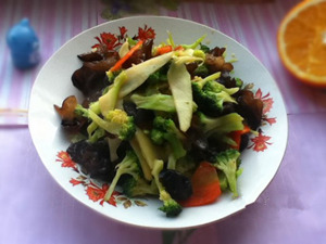 ��������ľ��������