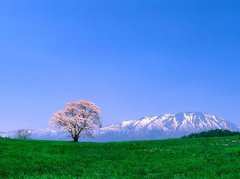 �����Ұ���ж�ʱ�� ������ô���Ȼ��ʱ��