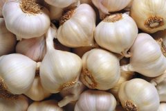 �����������е����� �����������е�����