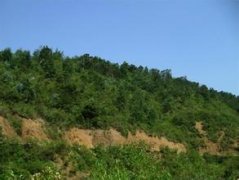 ��ľ�ִ�Խ֪ʶ ����ڹ�ľ��ͬ��