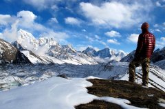 �����Ұ�����ͽ��Ч�� ͽ����ʵ�ü���