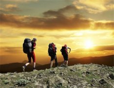 ����ͽ����ʵ�÷��� ͽ������ʵ�ü���