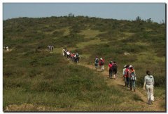 Ұ�ⲽ�п�ѧ���� Ұ�ⲽ����ȷ��ʽ