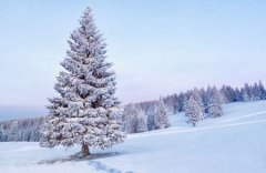 ���컧���ζԽŵı��� ����Խŵ�����