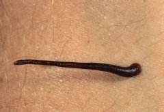 ���ҧ�˵ļ��� ��δ�������ҧ��