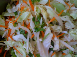 �����廨�˵�����