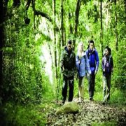 �������κ�ˮ �������κ�ˮע������