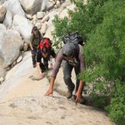 �����ɽע��ʲô �����ɽע������