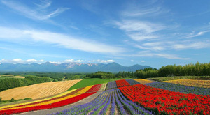 北海道旅游攻略 北海道旅游