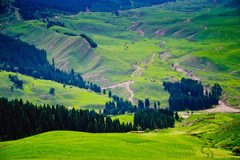 �½����ξ��� �½����ξ�������Щ