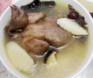 清炖鸽子汤