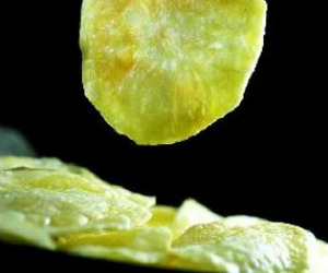 ������Ƭ