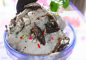 ������ѩ�������