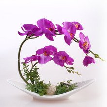 奋斗