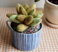 5���ֹ�����ֲ���辰װ��Ʒ�Ƽ�