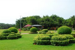 �ϰ�ũ�����Ƽ� �ϰ�ũ�����ļҺ�