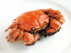 ��բз����ר�� ���������������ڵĴ�բзר��