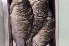 �ݽ���������� �ݽ�������ô��