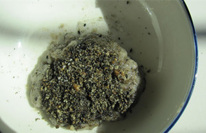 芝麻糯米饼的做法 健康早餐之芝麻糯米饼