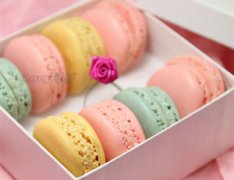 ��ʽ������������ ��������ʳ֮������