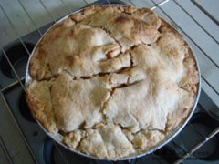 ƻ���ɵ����� ������ʳ֮ƻ����