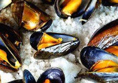 �ο����ݱ������� ��������ʳ֮ɯ������