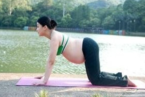 �и��ʺ��������٤