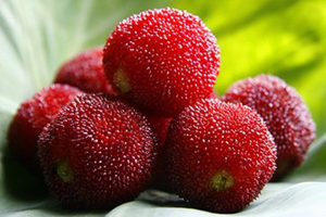 ��÷�г���ô��