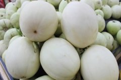 ������ϻ��� ��ϳԶ��˻᲻���ϻ���