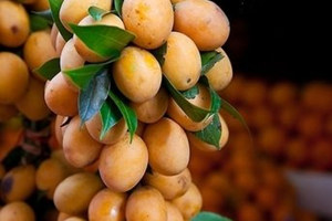 ���˹��Ĺ�Ч������