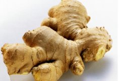 �����������ѷ��� �����ɲ����������ѷ�