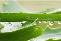 «���Ĺ�Ч����Щ «��������ĺô�����Щ