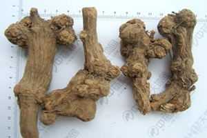 ���������ݹ�Ч