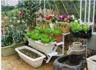 ��̨��԰װ����� ��̨��԰�ߴ�С���ɽ���