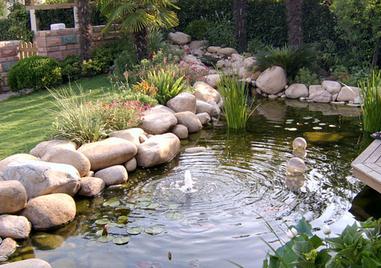 ������Ҫ�� ���������ô���