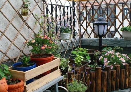 �ݶ���԰����� ����ݶ���԰��ע������