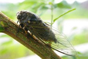 ֪�˵�Ӫ����ֵ