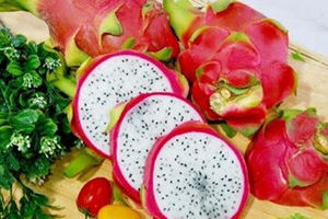 吃火龙果上火吗