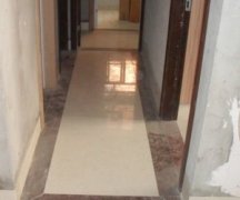 ������ש����Ч��ͼ����