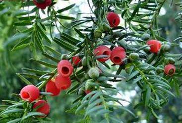 �춹ɼ�ԼҾӻ�����Ӱ�� ��Ҿӷ����δ���