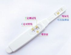 Ů����֪:���а�һ��һǳ����ʲô