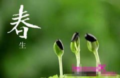 ������ʳע����������Щ ������ʳС��ʶ