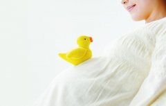 �������ע����������Щ ר�������������