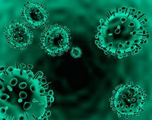 患了H7N9禽流感怎么办 医疗费谁来承担