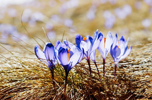 ��η���Ӥ�׶�������ݡ����