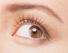 Զ�������ӵ����Ʒ��� ��ô����