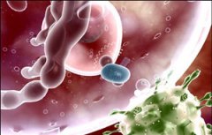 ��Ѫ��͵�ԭ����ʲô ��Ѫ��͵ĳ���ԭ��