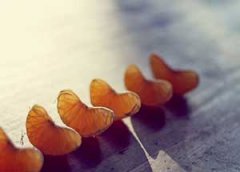 ǿ��֢��֢״��Ϊ ����Щ��Ϊ