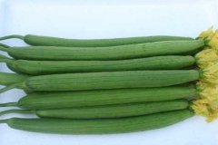 �������ʲô�߲˺� ��������ʳ������ע����Щ