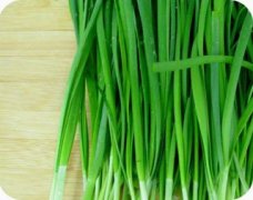 �и��ܳԾ²��� �и��Ծ²˵�ע������